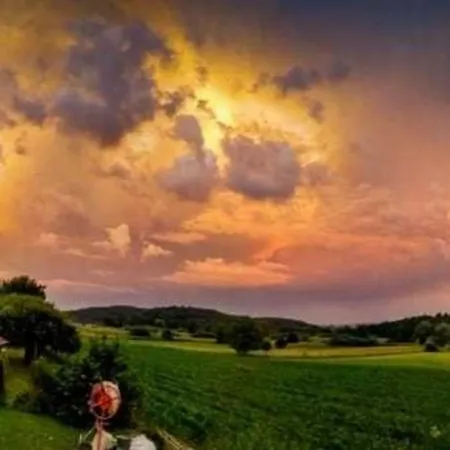 Riedblick-sued-west Radolfzell am Bodensee