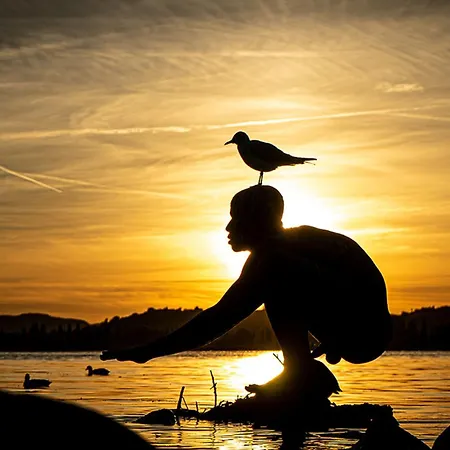 Riedblick-sued-west Radolfzell am Bodensee