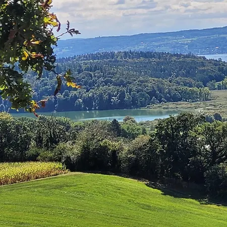 Riedblick-sued-west Radolfzell am Bodensee