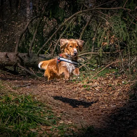 Riedblick-sued-west *