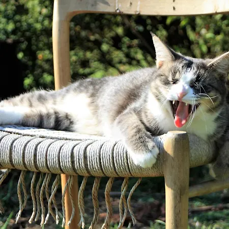 Appartement Riedblick-sued-west