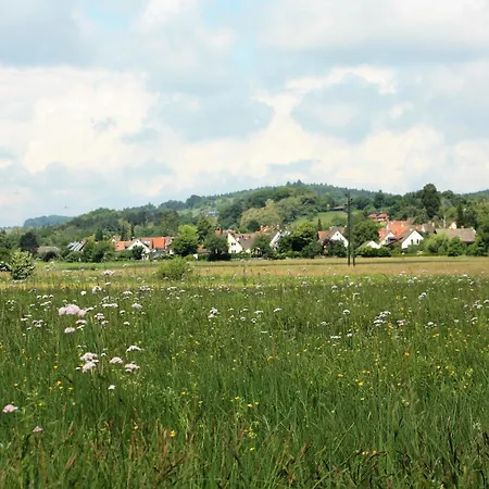 Appartement Riedblick-sued-west *