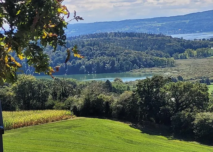 Riedblick-sued-west Radolfzell am Bodensee